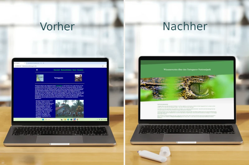 Die alte Website von Tinamon Tours und die neue von der Webseitenfrau